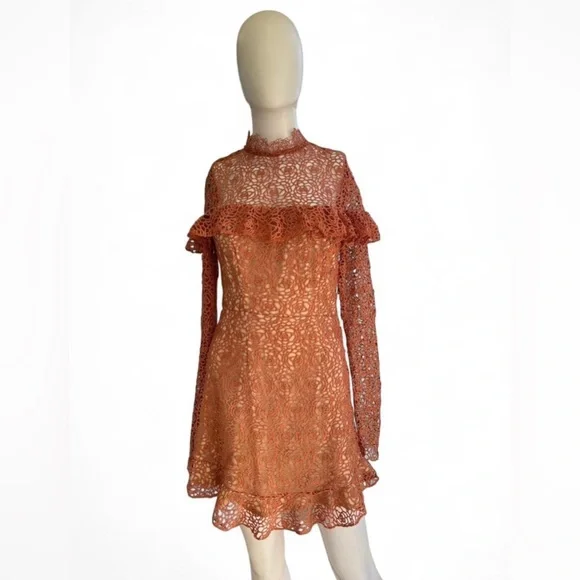 Lace Mini Dress | Open Back Long Sleeve | Size Medium - Picture 3 of 5